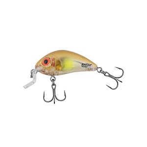 Vobler Salmo Rattlin Hornet Shallow Clear Ayu 3.5cm 3g