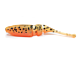 Shad Lake Fork Live Baby 2.25 inch Fire Perch 15/pac